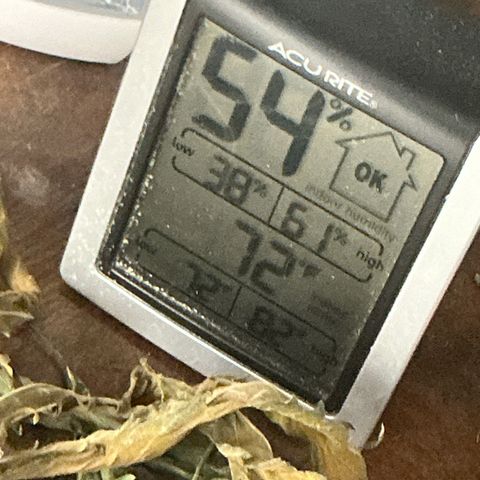 Sherbet Haze and Slurry3 growlog timeline photo