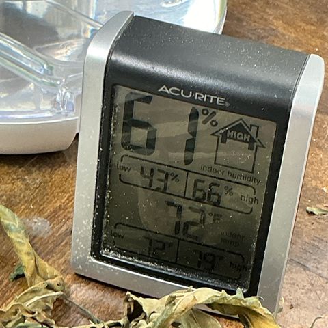 Sherbet Haze and Slurry3 growlog timeline photo