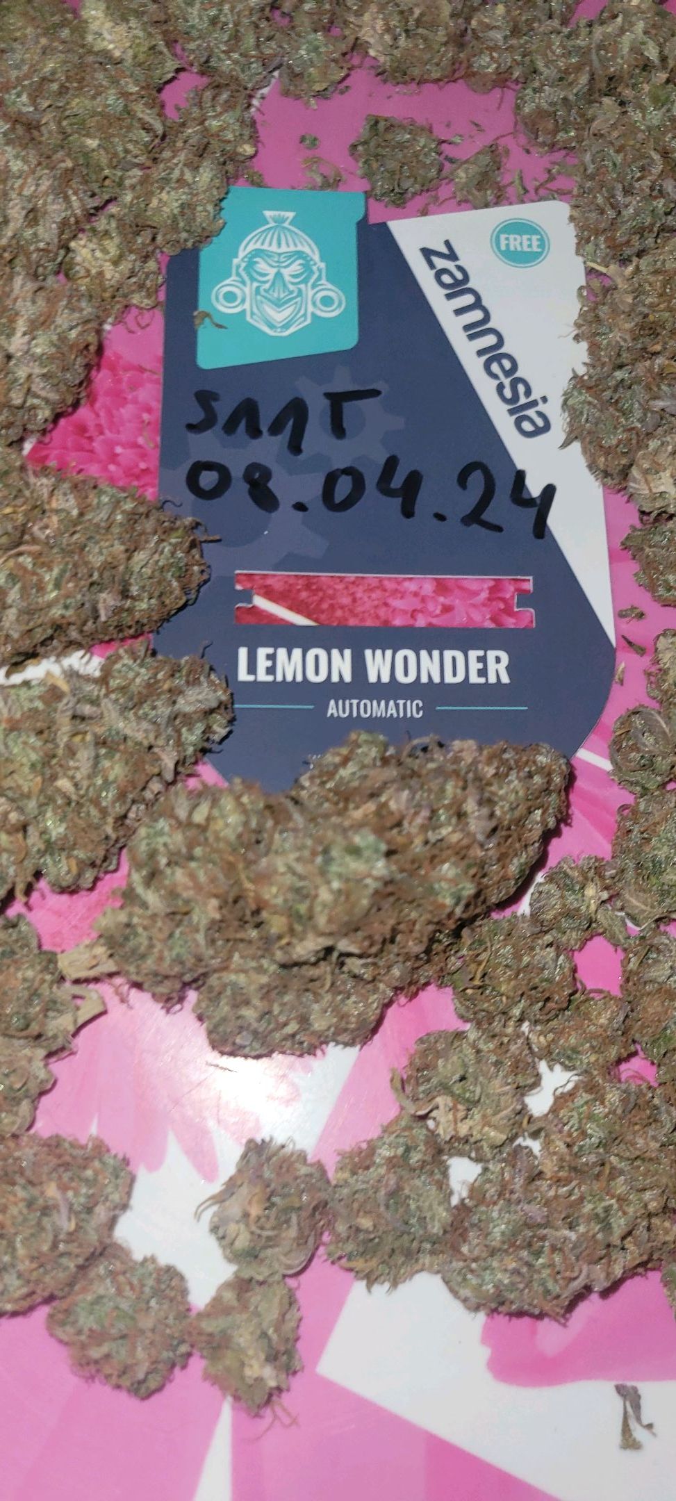 Lemon Wonder Automatic growlog header