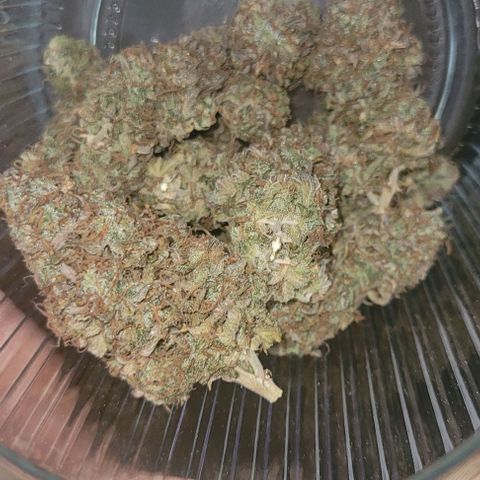 Lemon Wonder Automatic growlog timeline photo
