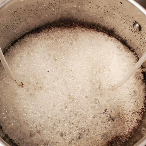 Purple Lemonade growlog photo: Bubbling the Compost Tea 🙃