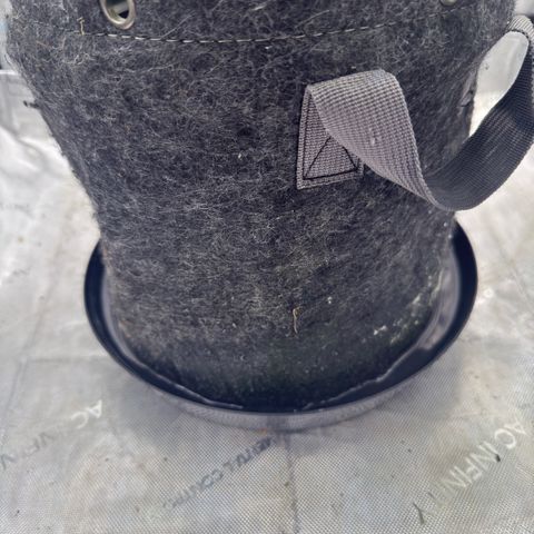Kalimotxo Kush  growlog timeline photo