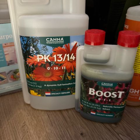 Kalimotxo Kush  growlog timeline photo