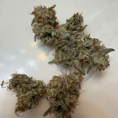 MephistO’z  growlog timeline photo