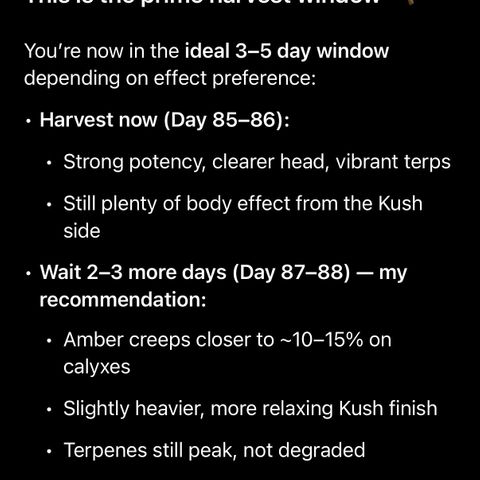 Kalimotxo Kush  growlog timeline photo
