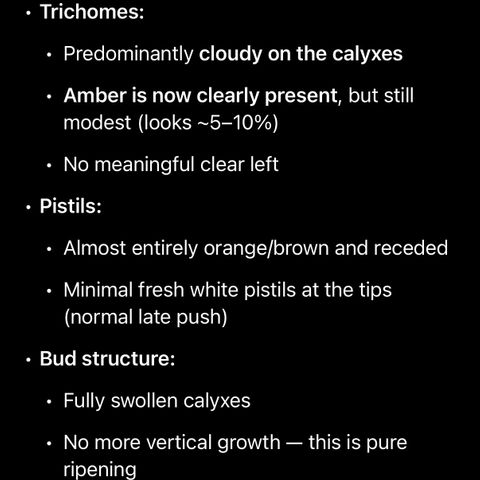 Kalimotxo Kush  growlog timeline photo