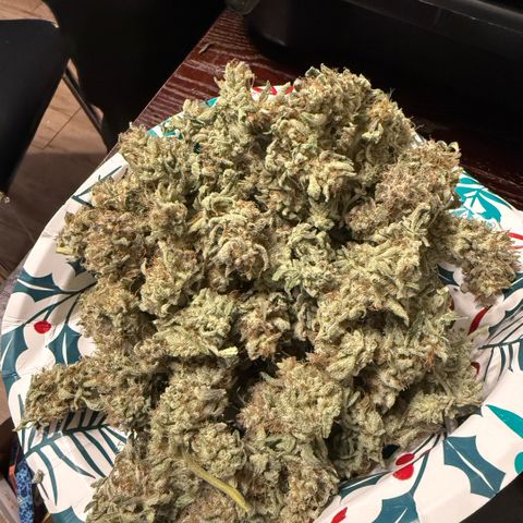 Kalimotxo Kush  growlog timeline photo