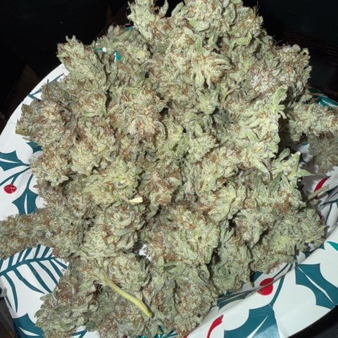 Kalimotxo Kush  growlog timeline photo