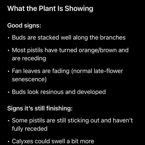 Sugar Babies Lit Farms #1 growlog timeline photo