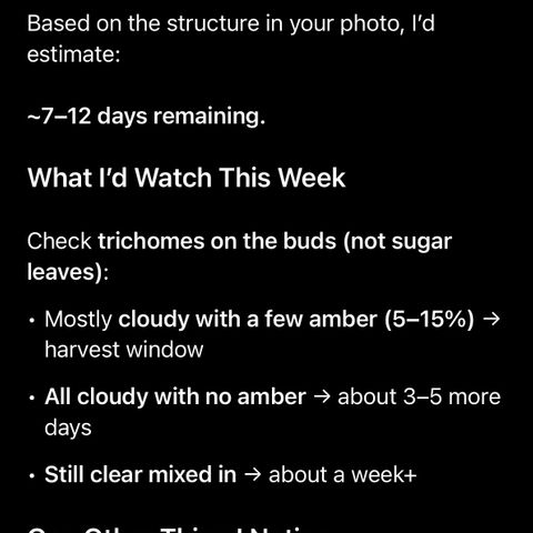 Sugar Babies Lit Farms #1 growlog timeline photo