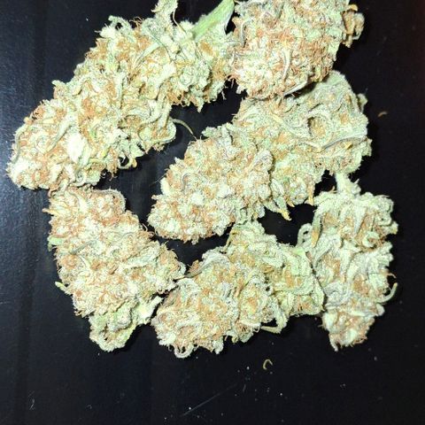 Blue Skunk growlog photo: 73g dry weight