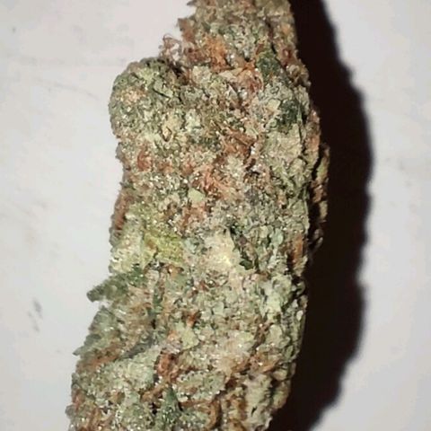 Super Silver Haze #01 growlog timeline photo