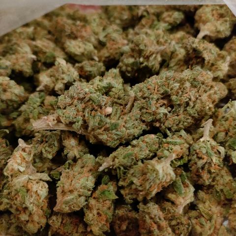 Super Silver Haze #01 growlog timeline photo