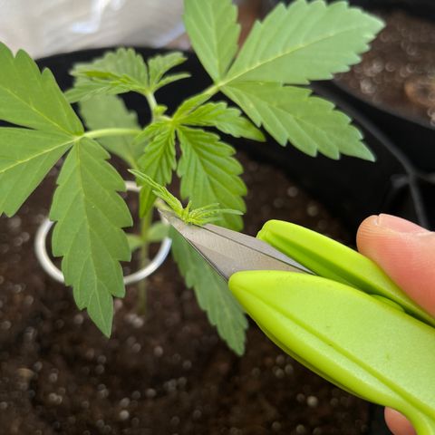 Buddy growlog photo: 😬😬😬