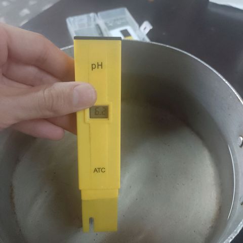 Celeste  growlog photo: PH 6.2.