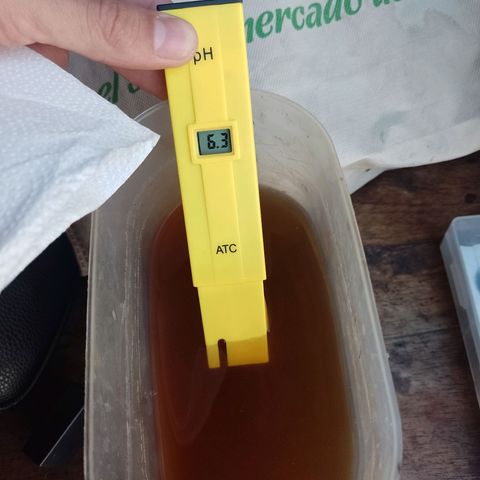 Celeste  growlog photo: Trico+ con PH 6.3