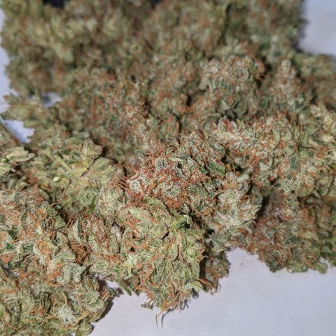 Blue Cheese  growlog timeline photo