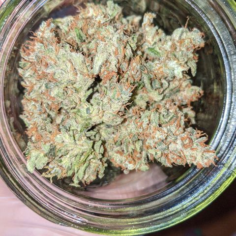 Blue Cheese  growlog timeline photo