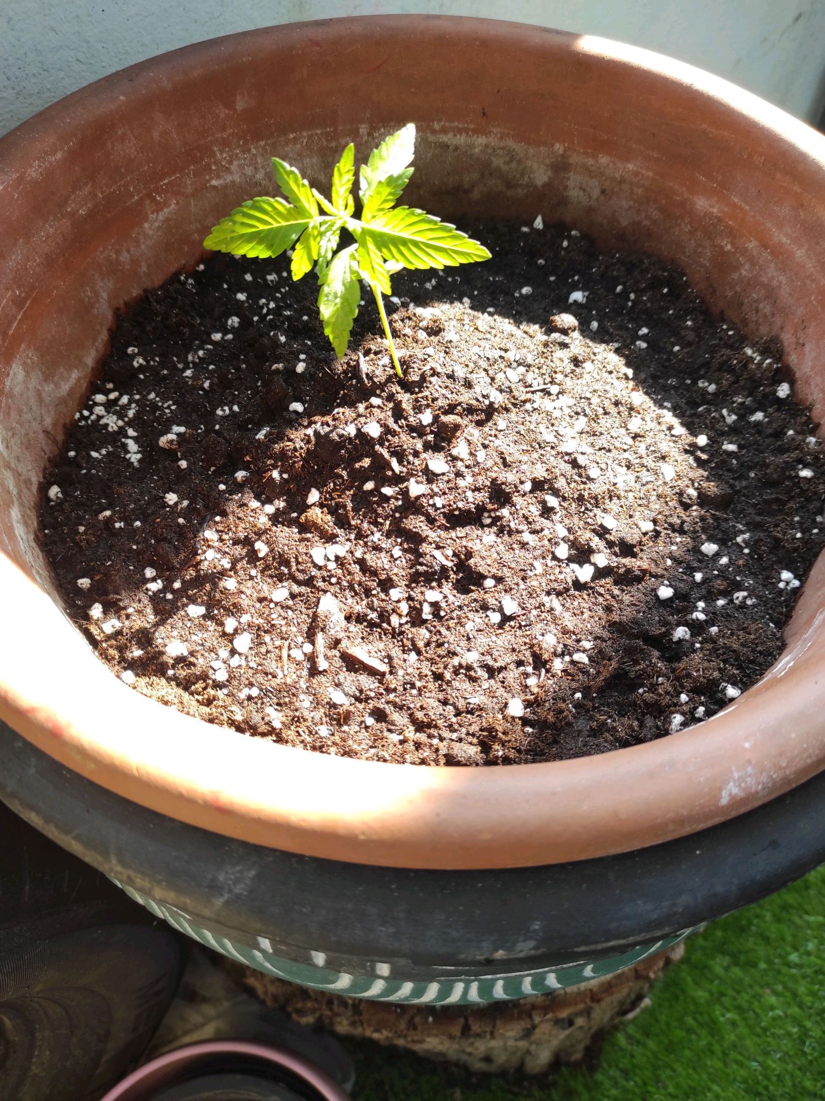 Mary growlog photo 8