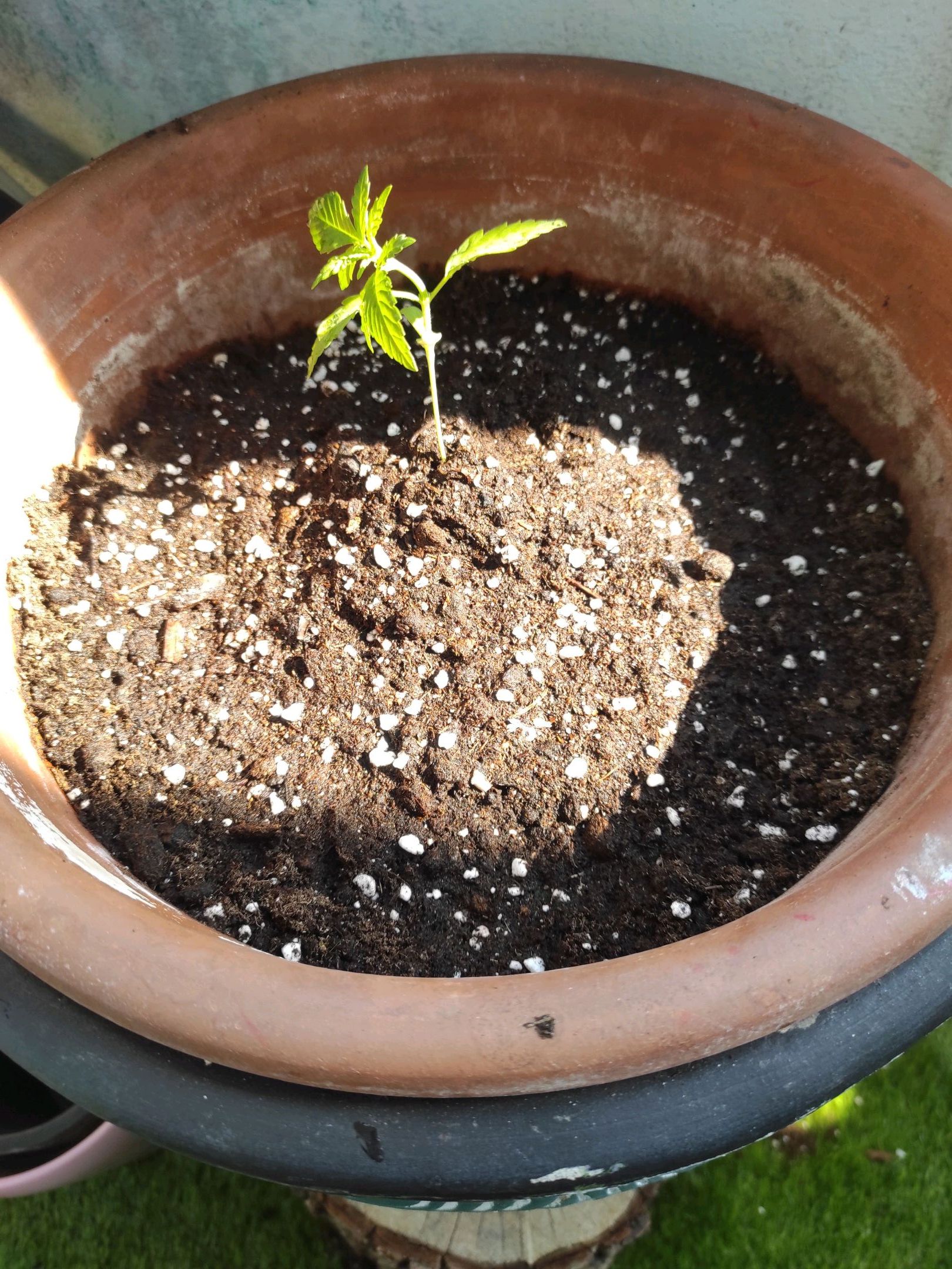 Mary growlog photo 6