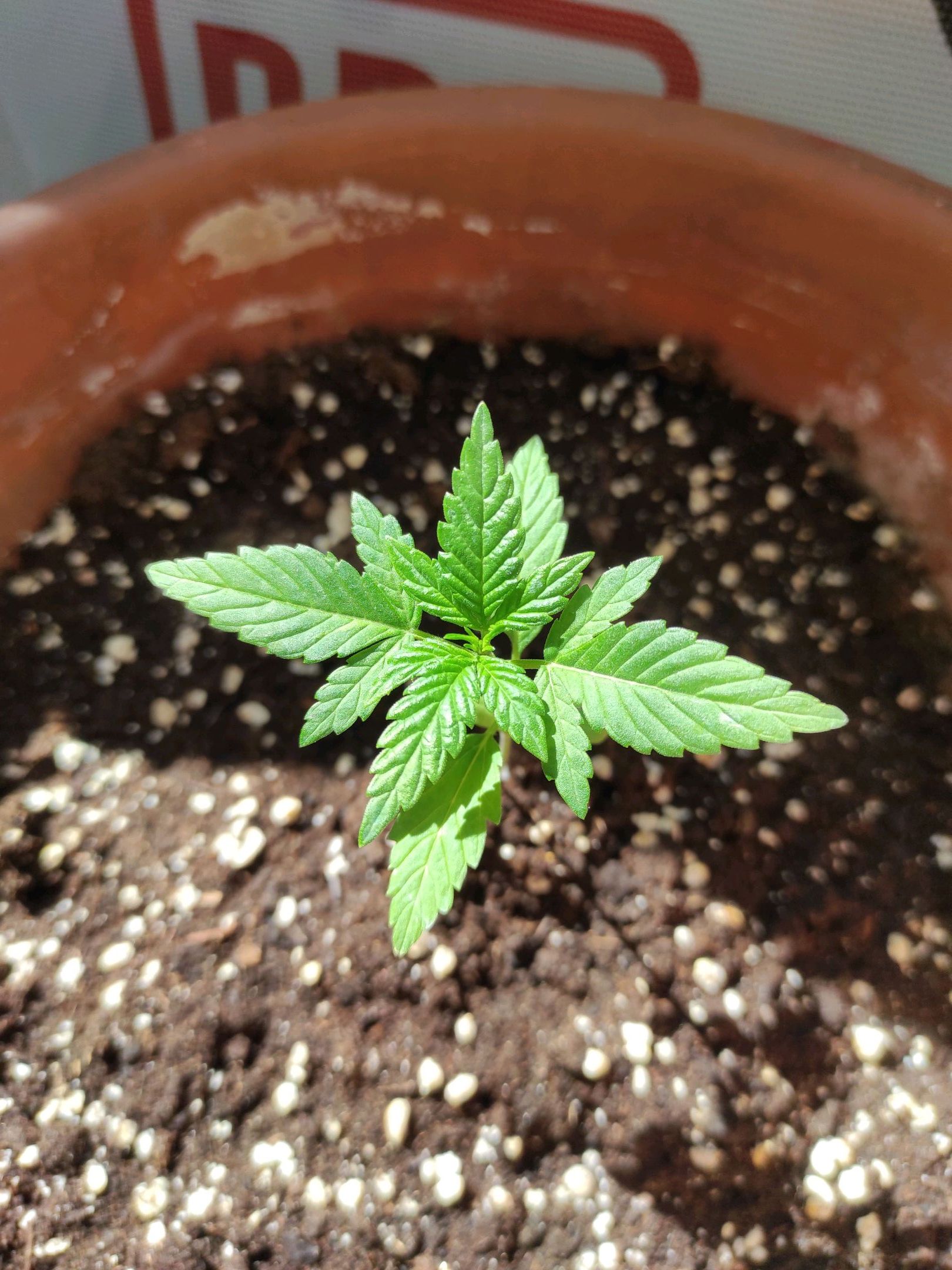 Mary growlog photo 13