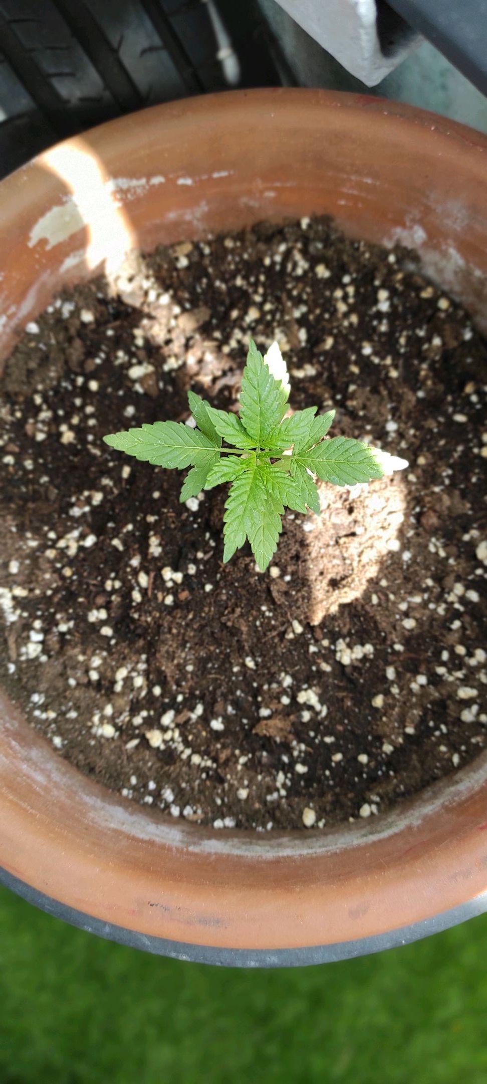 Mary growlog photo 15