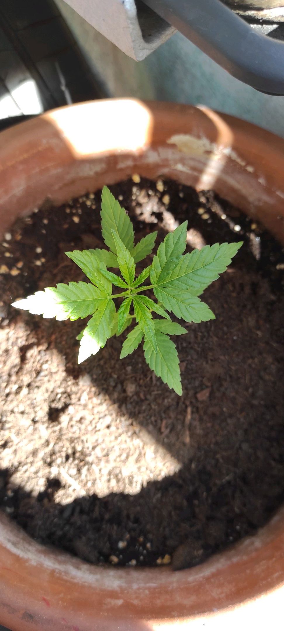 Mary growlog photo 18