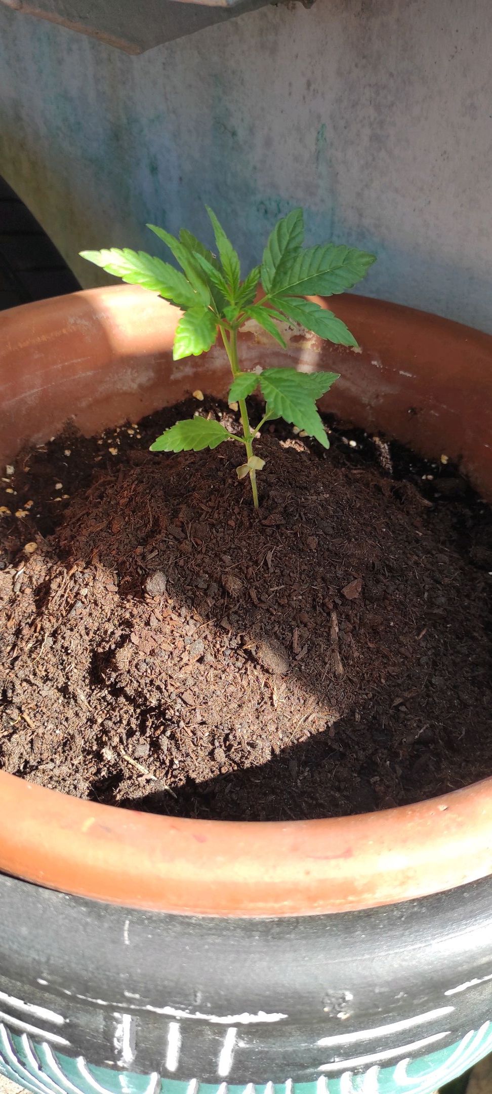 Mary growlog photo 17