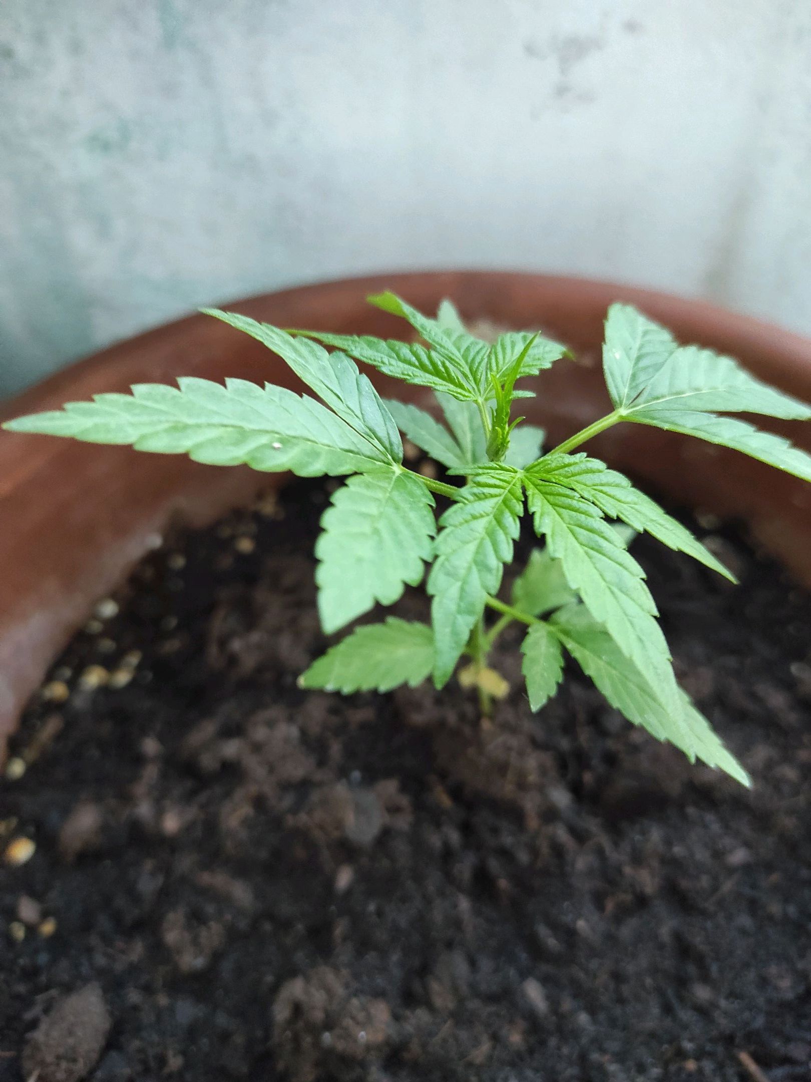 Mary growlog photo 19