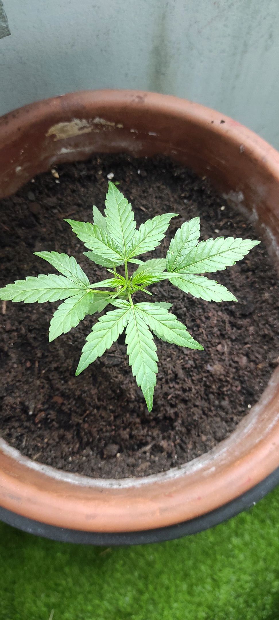 Mary growlog photo 21