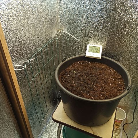 Auto Gagarin growlog photo: Колхоз