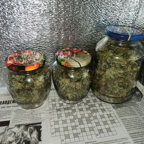 Auto Gagarin growlog timeline photo