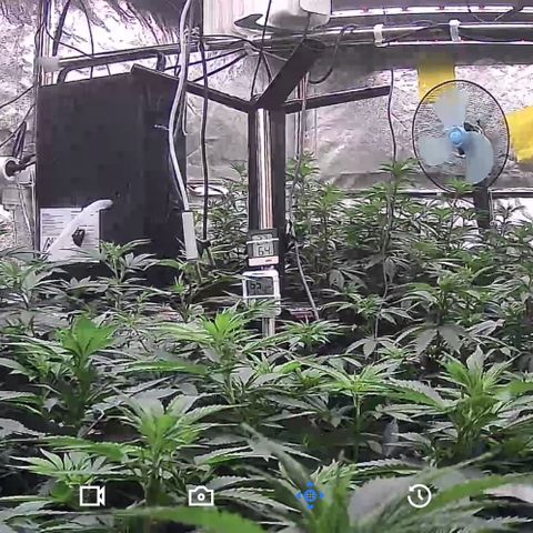 Blue gelato 41  growlog photo: Acqua stasera 