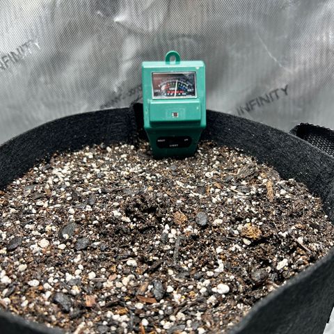 Tangerine Dream AUTO growlog photo: Day 1: Saturated dirt with 1L of Seedling Food & planted seedling.