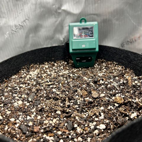 Tangerine Dream AUTO growlog timeline photo