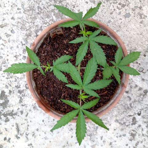 MK 1 growlog photo: 7:24 de la mañana