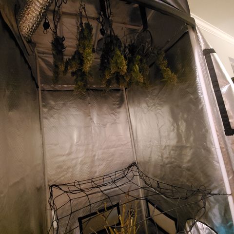 Star Killer (1) growlog timeline photo