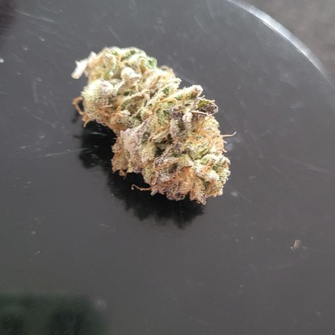 Chiquita Milkshake *2 growlog timeline photo