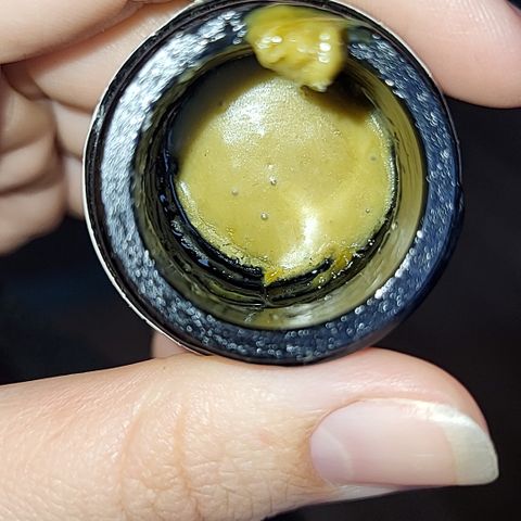 Wonder Pie *2 growlog photo: Cured