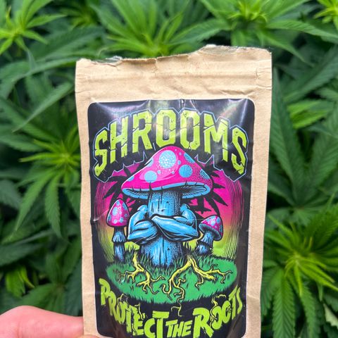 DNA Cake #3 growlog photo: Trichoderma