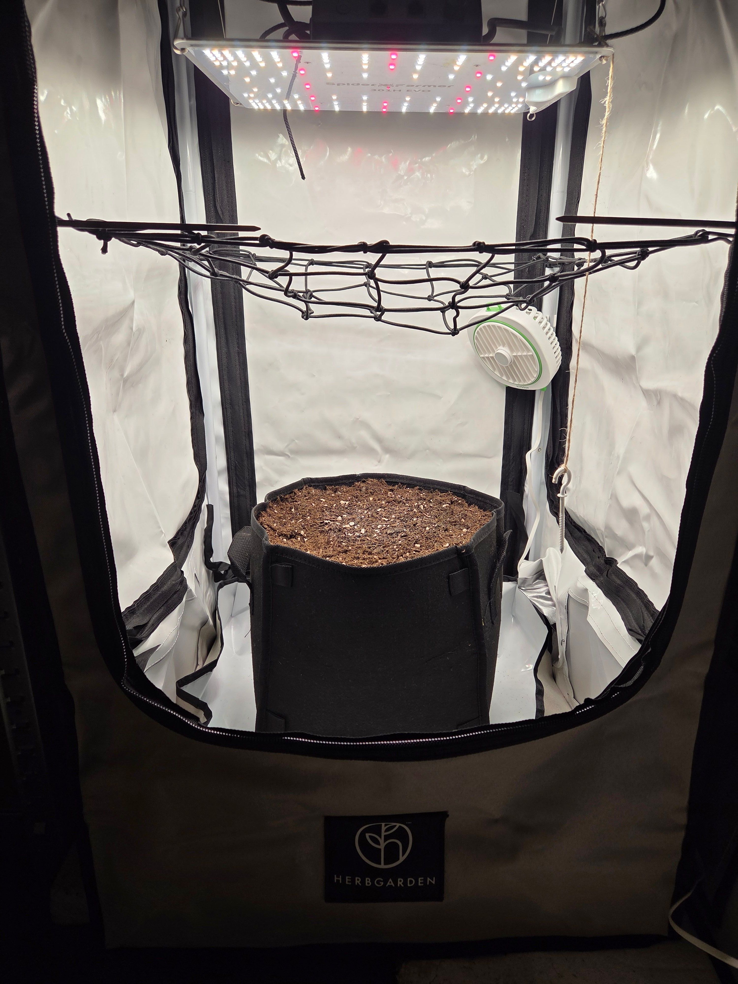 Biscotti πͺβοΈ growlog photo 1