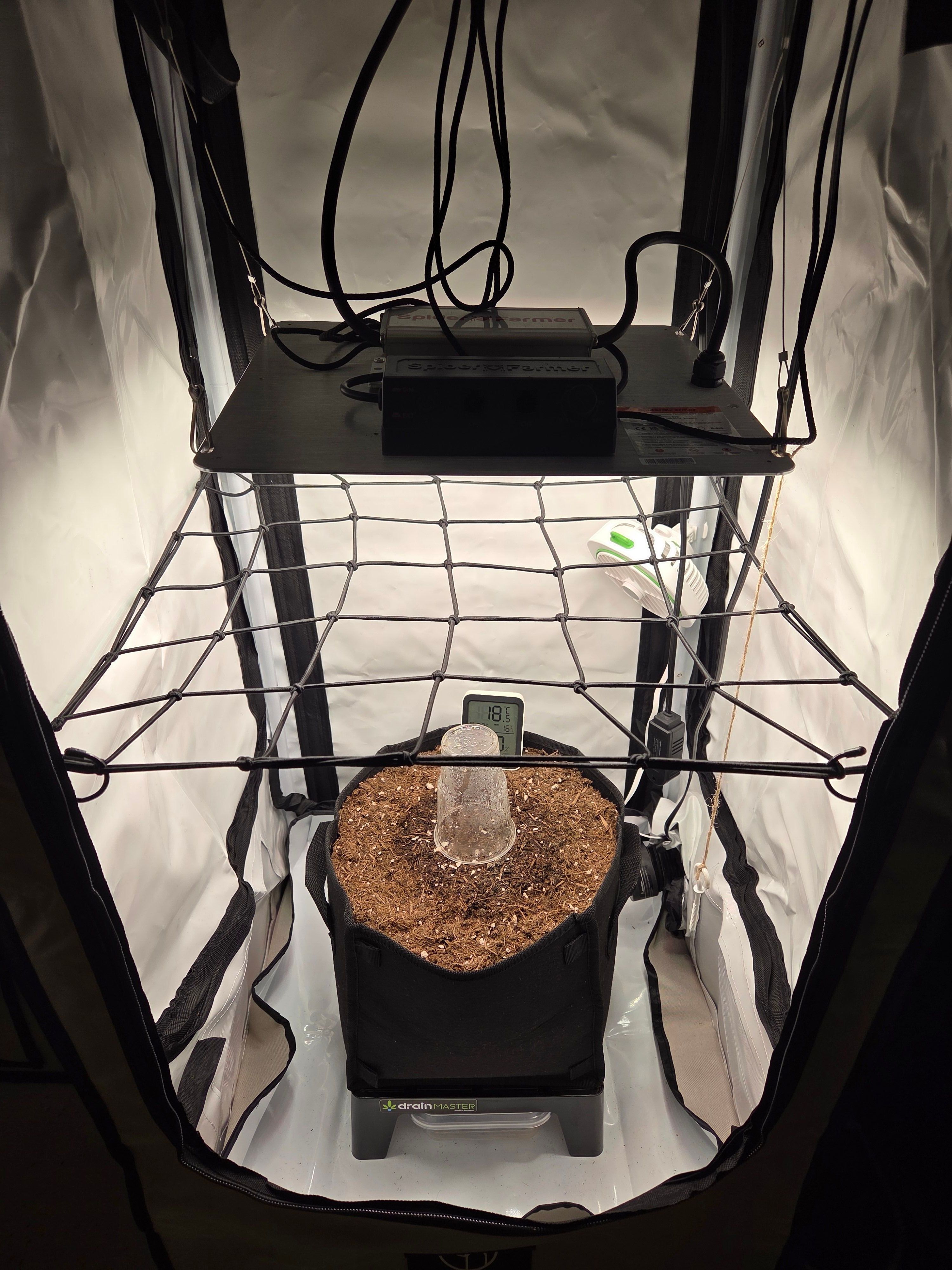 Biscotti πͺβοΈ growlog photo 3