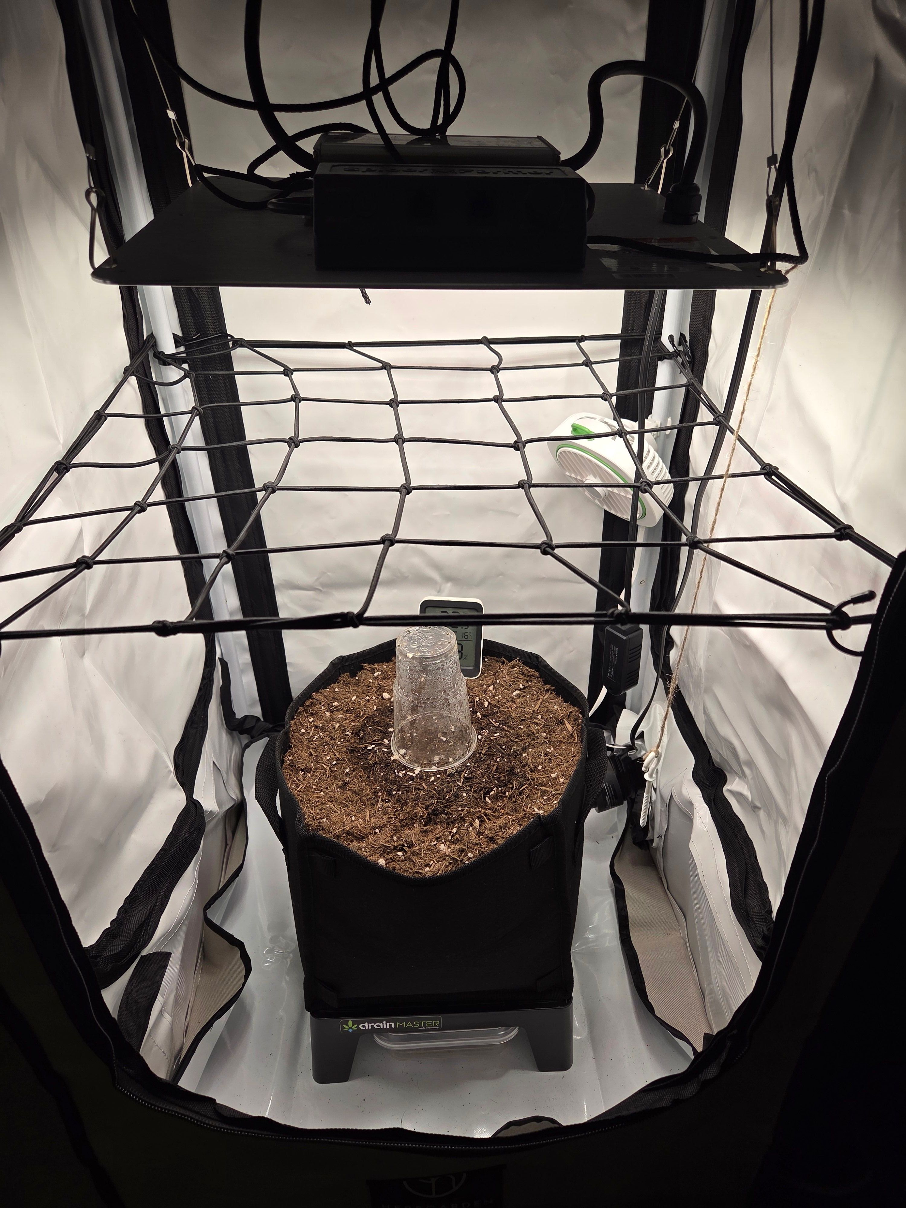 Biscotti πͺβοΈ growlog photo 4