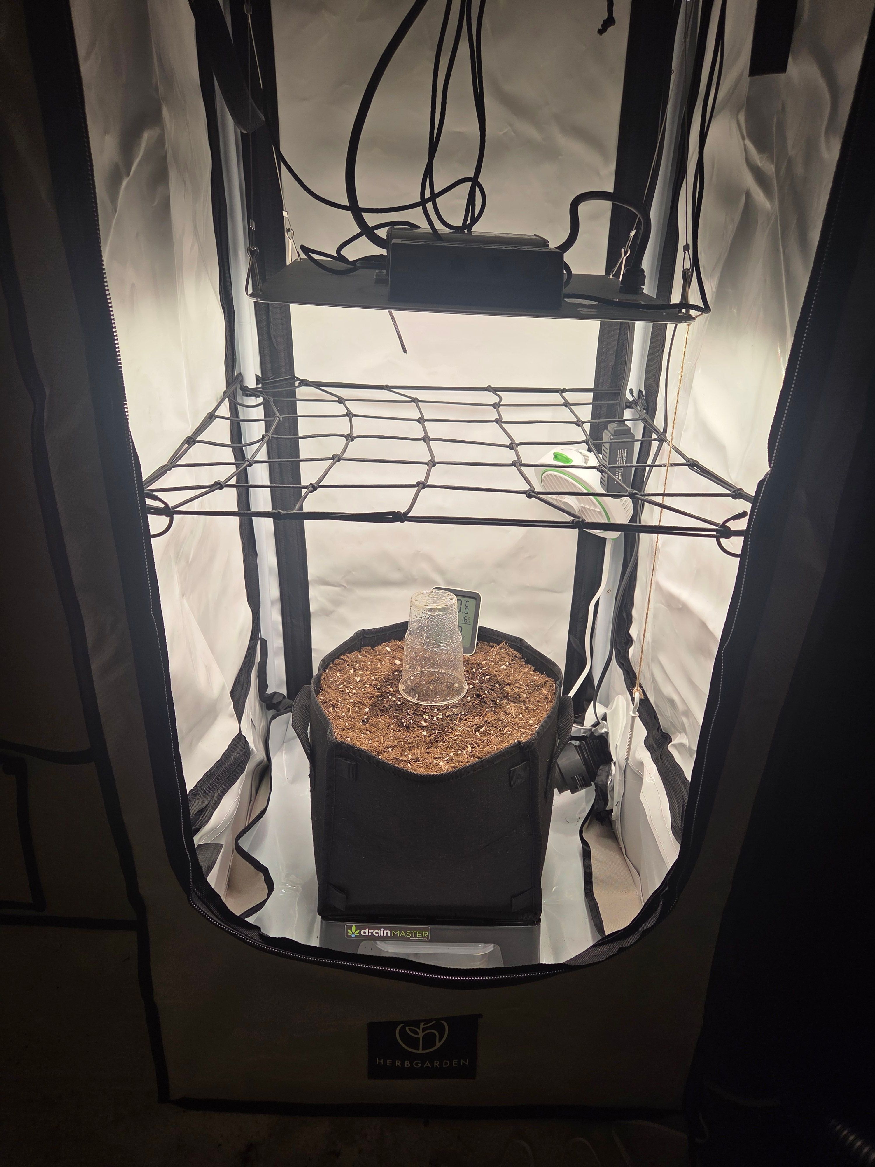 Biscotti πͺβοΈ growlog photo 7