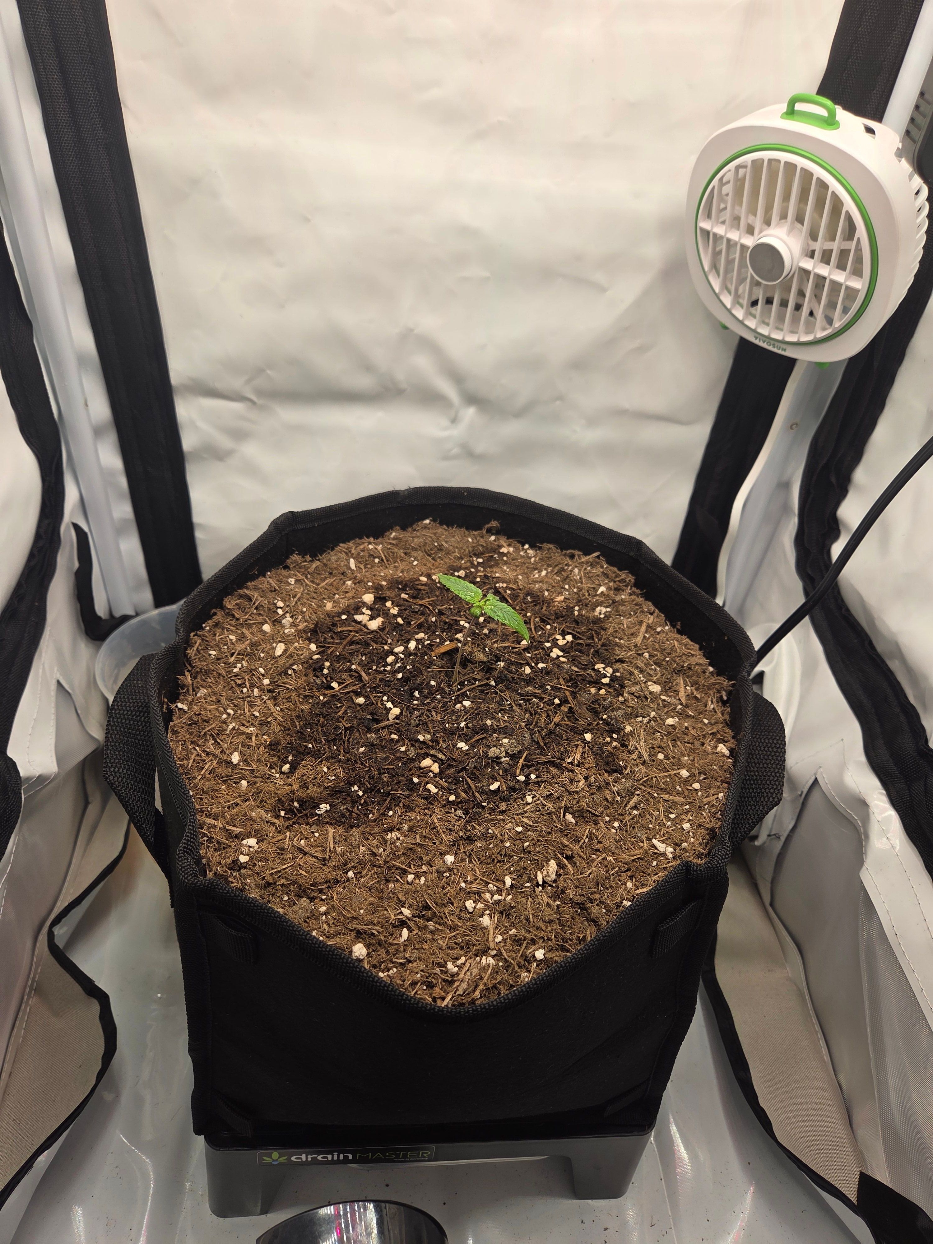 Biscotti πͺβοΈ growlog photo 10