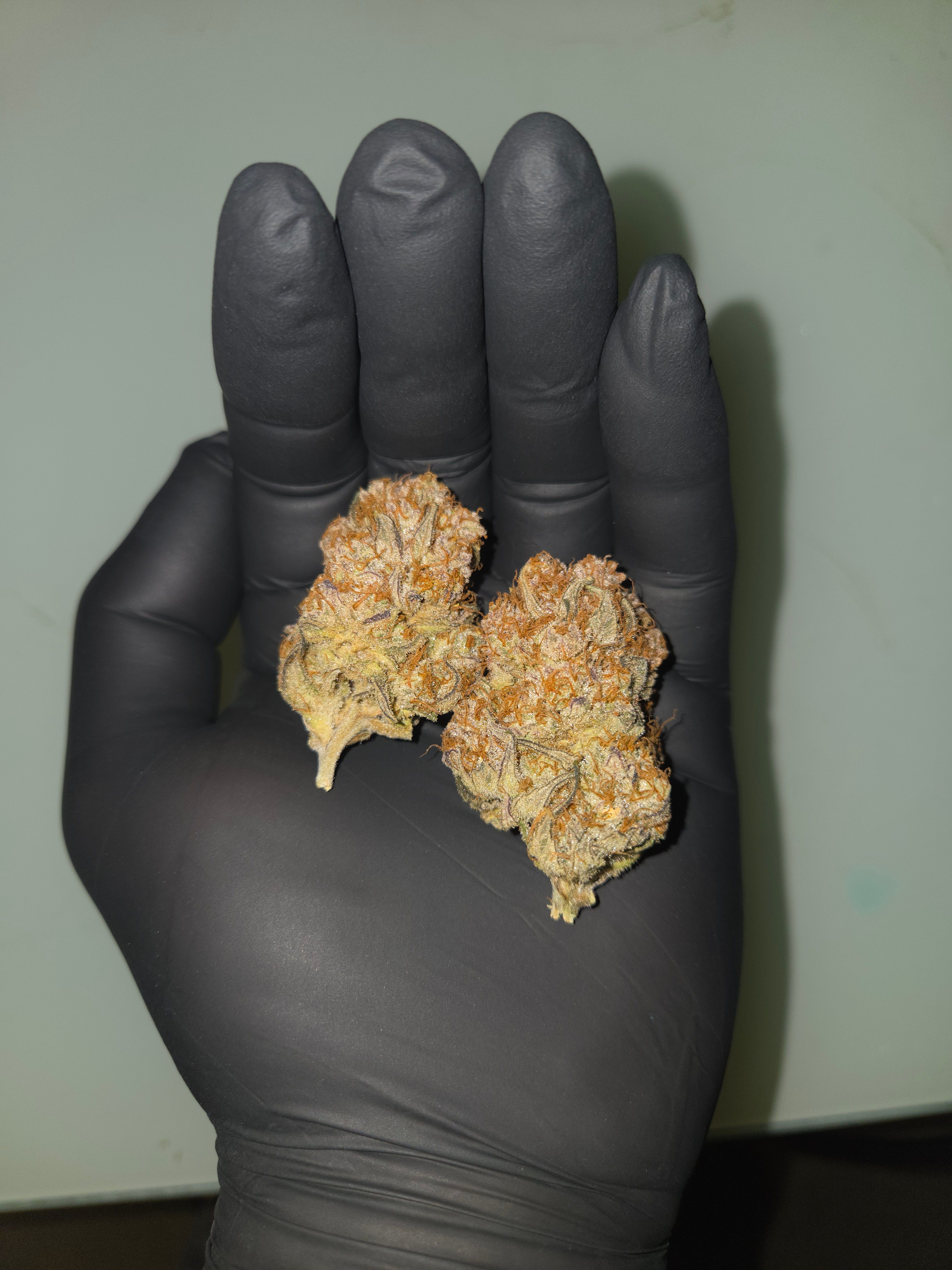 Biscotti πͺβοΈ growlog photo 127