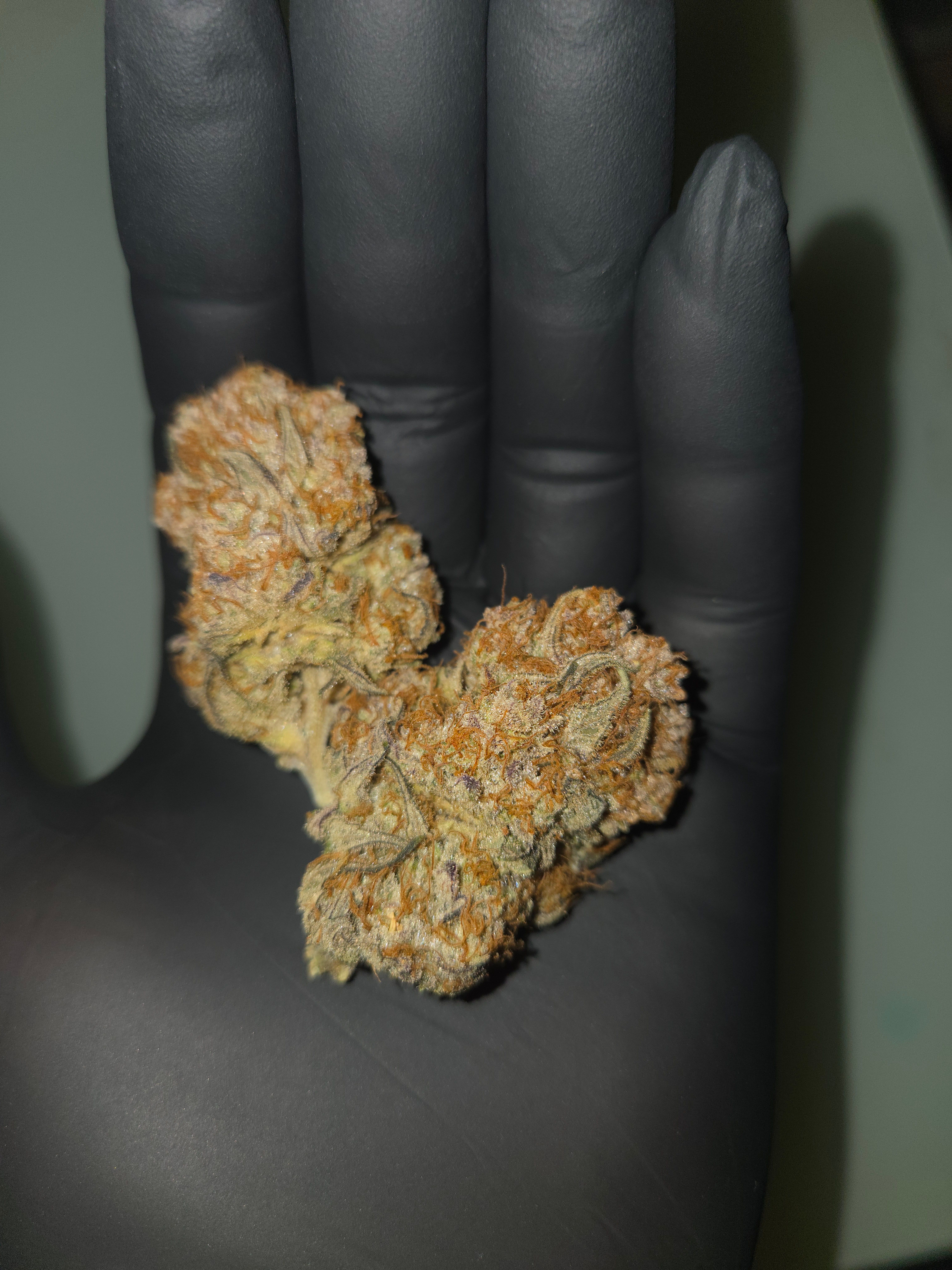 Biscotti πͺβοΈ growlog photo 128