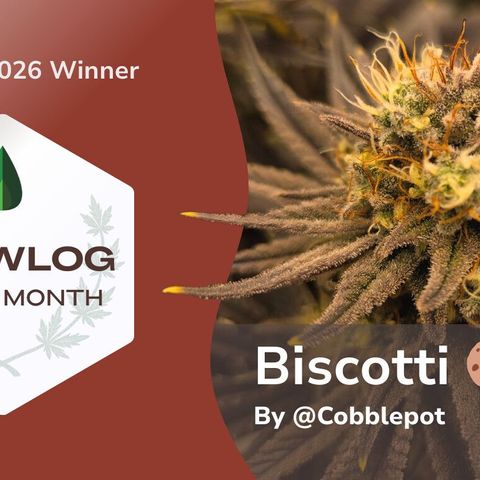 Biscotti 🍪☕️ growlog timeline photo
