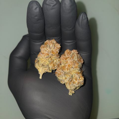 Biscotti 🍪☕️ growlog timeline photo