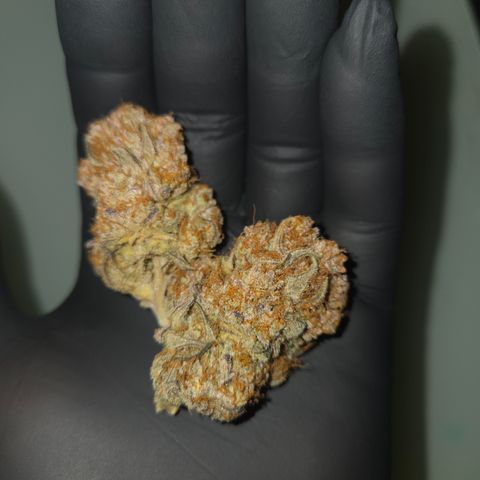 Biscotti 🍪☕️ growlog timeline photo